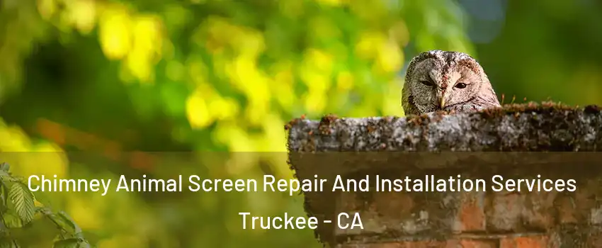  Chimney Animal Screen Repair And Installation Services Truckee - CA