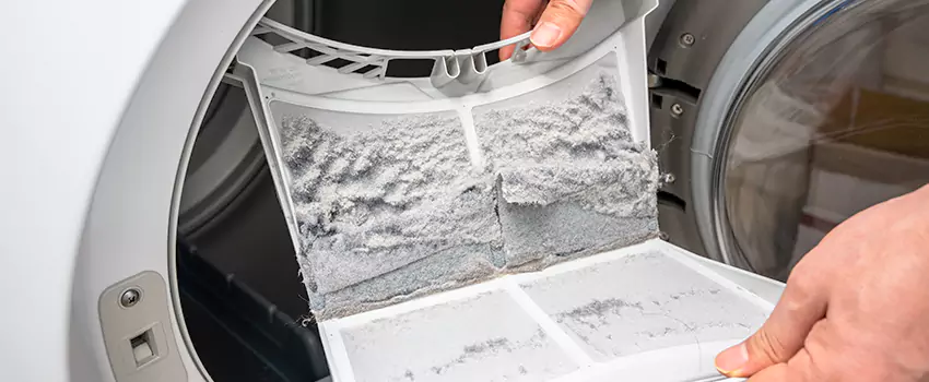 Best Dryer Lint Removal Company in Truckee, California